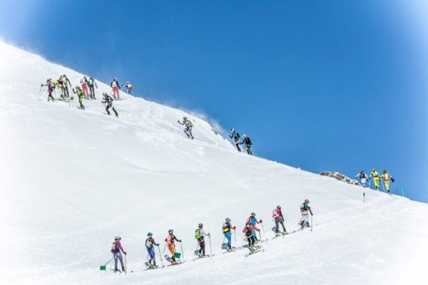 Как найти ссылку блэк спрут