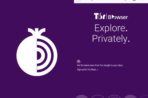 Блэк спрут сайт tor wiki online