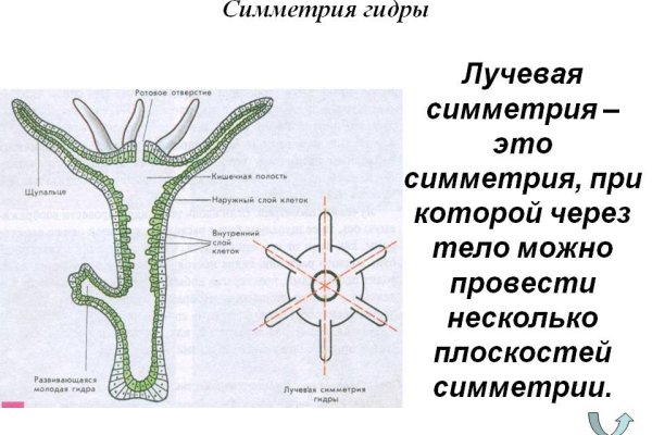 Блэк спрут 500 ошибка